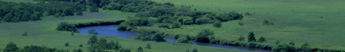 釧路湿原