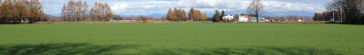 十勝の農村風景