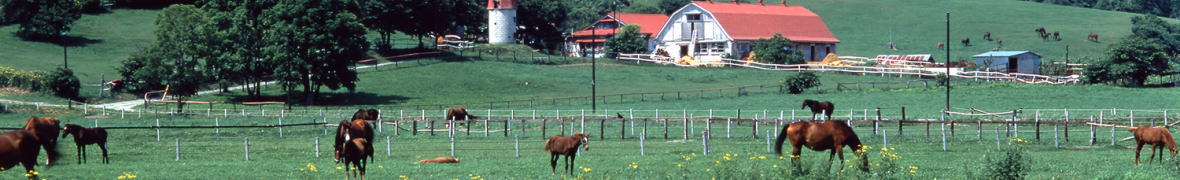 日高地方の牧場