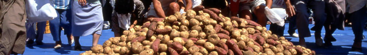 特産のじゃがいも