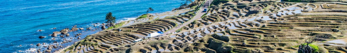 白米千枚田