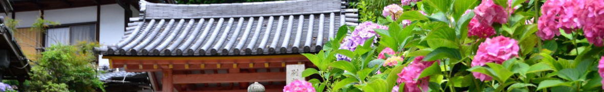 矢田寺・あじさい寺