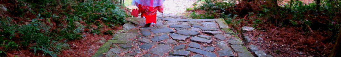 中辺路の熊野古道