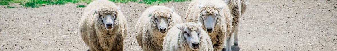 伊香保グリーン牧場