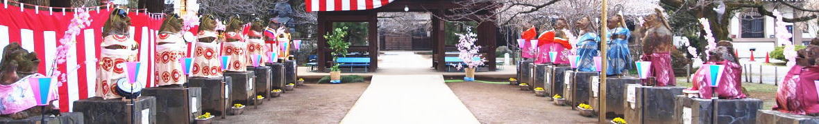 茂林寺のタヌキ