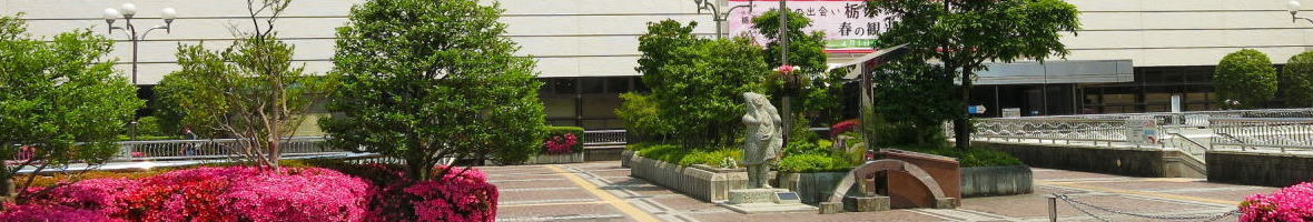 餃子のビーナス