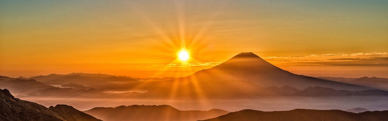 ブドウと武田信玄像