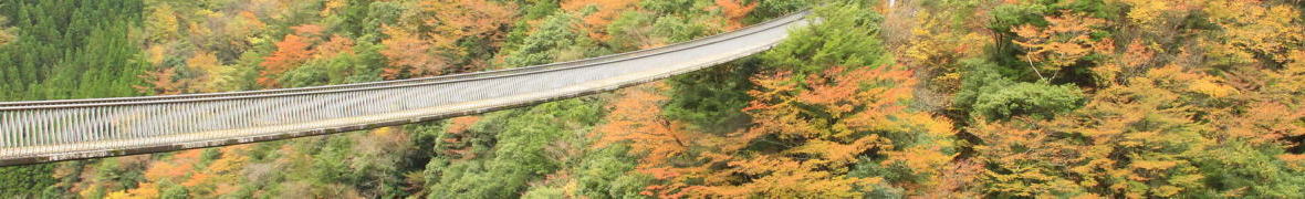 八代・梅の木轟公園吊り橋