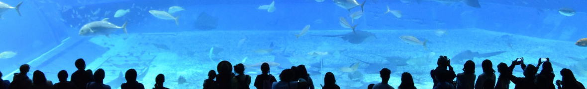 沖縄美ら海水族館