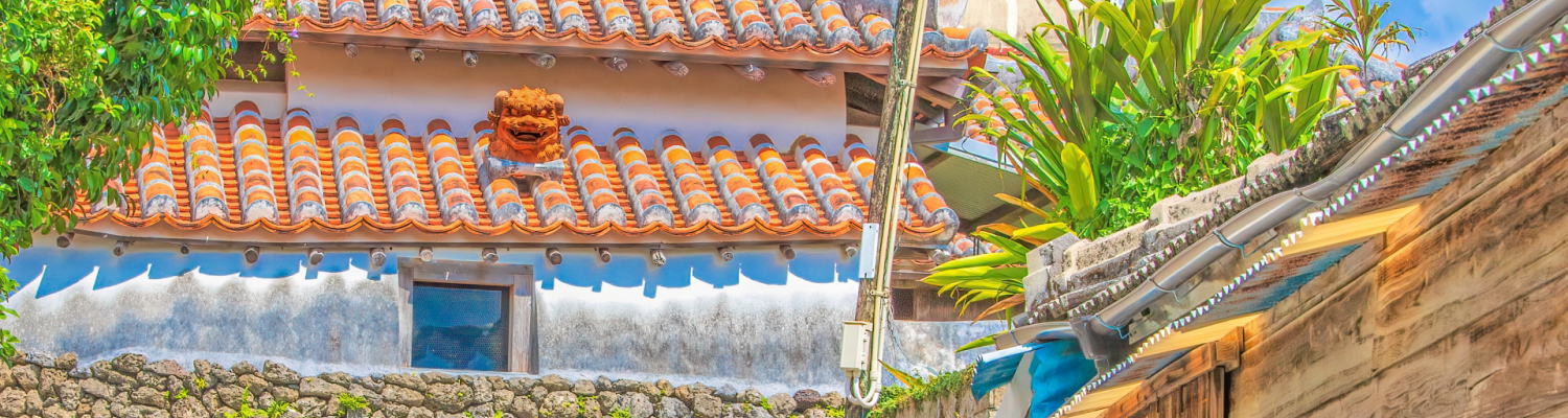 沖縄・空を見上げる青年とハイビスカス