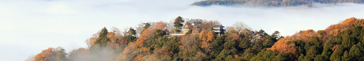 備中松山城
