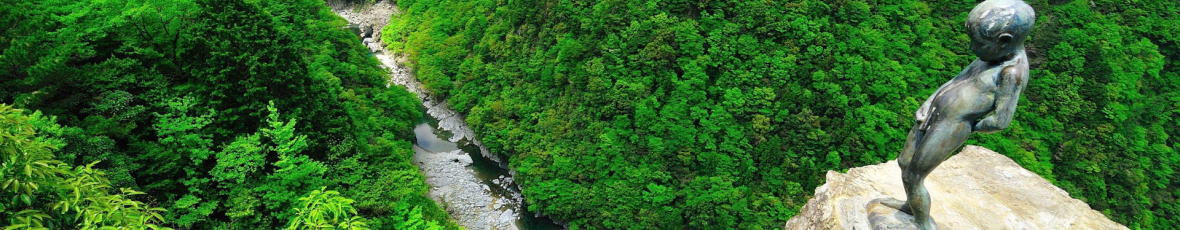 祖谷のかずら橋