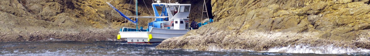 うみがめマリンクルーズ-