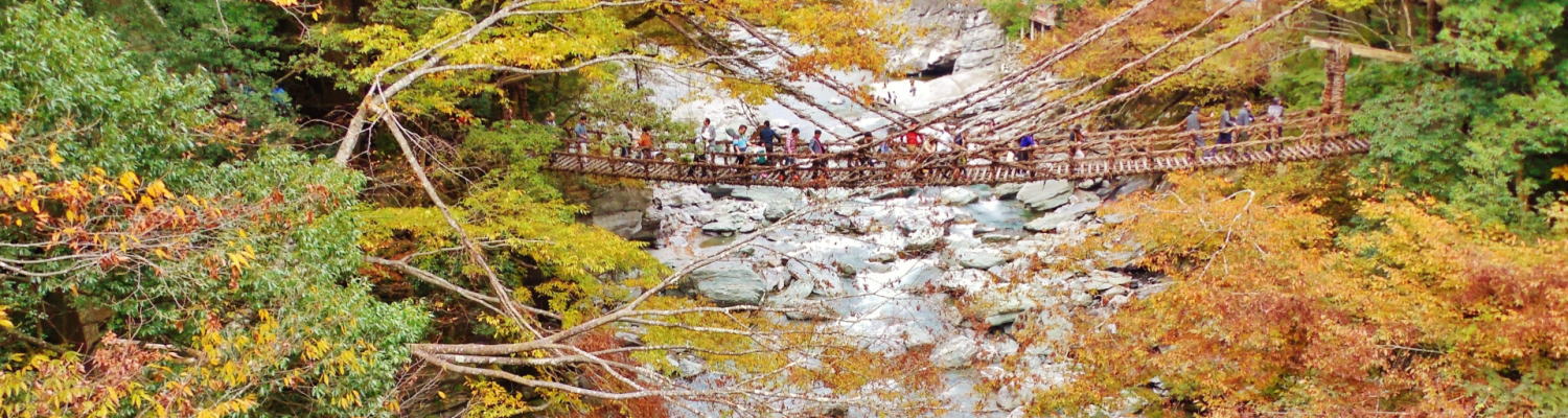 紅葉の祖谷のかづら橋