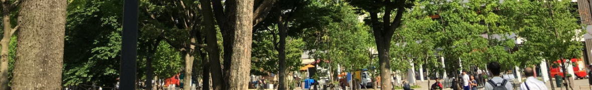 中野四季の森公園