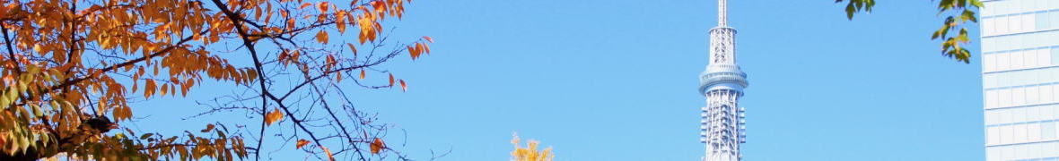 錦糸公園の桜と東京スカイツリー