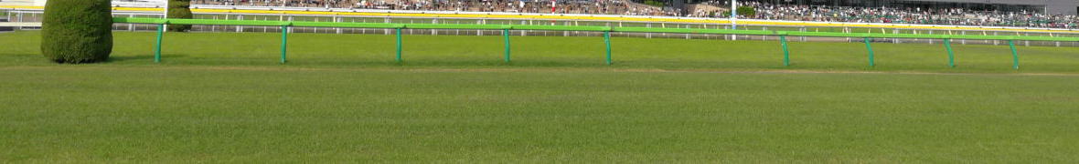 東京競馬場