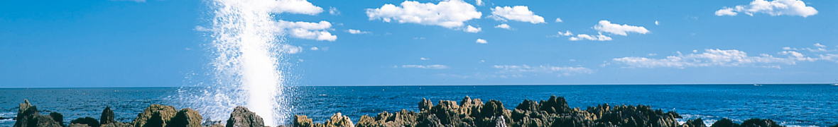 岩井崎の潮吹き岩