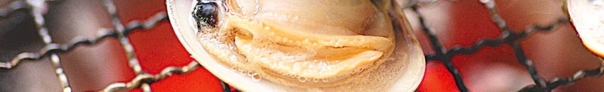 桑名の焼きハマグリ