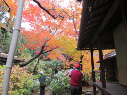 當麻寺(たいまでら)